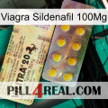 Viagra Sildenafil 100Mg new06